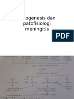 Patogenesis Dan Patofisiologi MENINGITIS