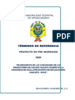 TdR Mejoramiento Desaguadero