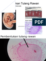 PRAKTIKUM HISTO 1 + 2jlak