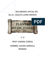 Plantas Medicinales