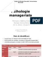 225457139 POWERPOINT Plan de Afacere Psih Manageriala 2