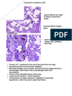 Respiratory System Pathology (Part 1)