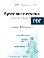 Système Nerveux