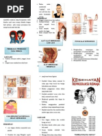 Download LEAFLET Kesehatan Reproduksi Remaja by Daniel Evans SN292545696 doc pdf