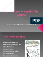 Estructura Regulacion Genica. Medios Celula Genoma Organismo