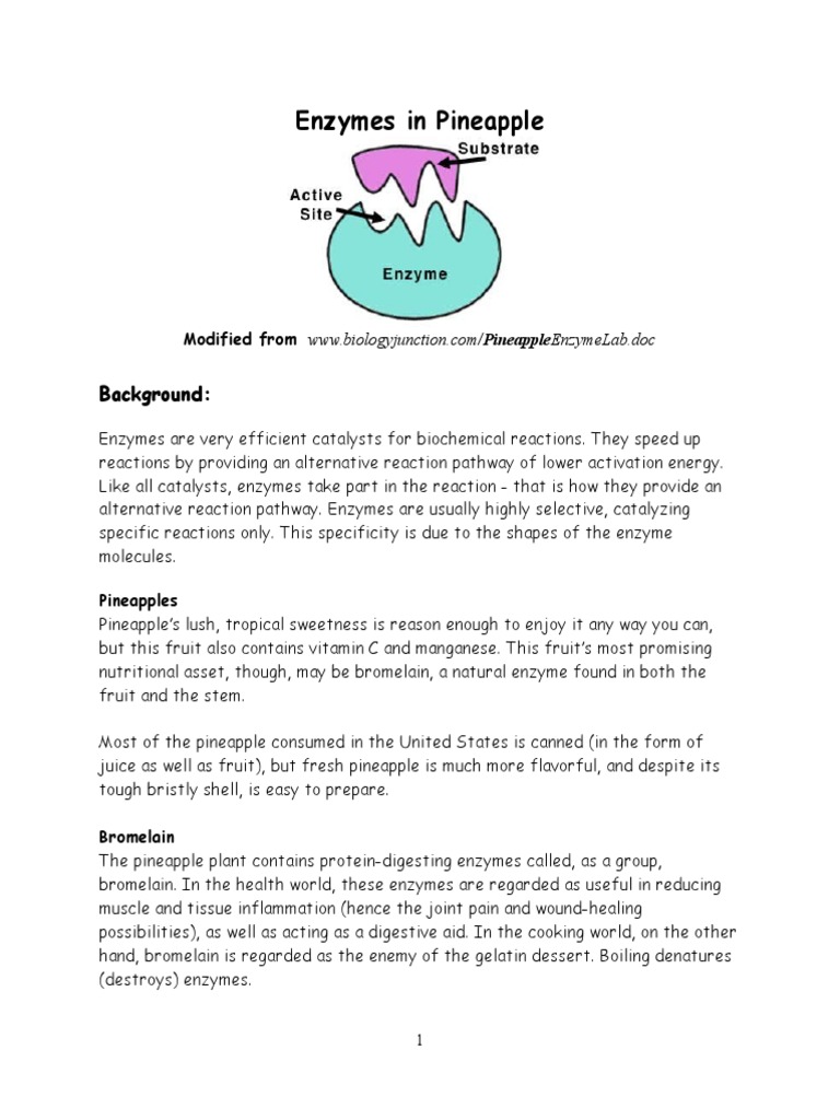 pineappleenzymelab Gelatin Enzyme
