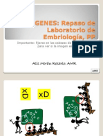 (3) Imagenes Repaso PP Embriologia