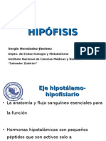 ADENOHIPOFISIS Generalidades