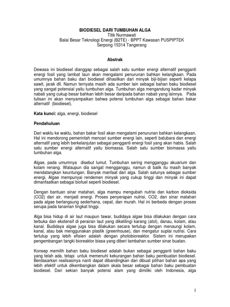 Tanaman Jarak Dapat Dimanfaatkan Sebagai Bahan Baku Energi Alternatif