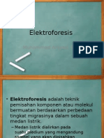 Elektroforesis
