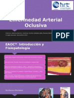 Enfermedad Arterial Obstructiva Crónica
