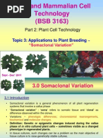 Plant and Mammalian Cell Technology (BSB 3163)