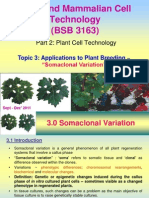 Plant and Mammalian Cell Technology (BSB 3163)