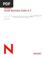 Download Novell small Business Suite 65 Overview and Installation Guide by infobits SN2926135 doc pdf