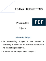 Advertising Budgeting: Nijaz N