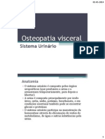 Osteopatia Visceral - Sistema Urinario