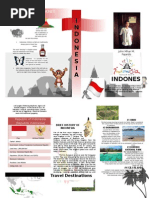 JM - ‌Indonesia.docx