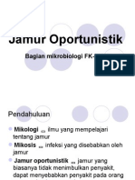 Jamur Oportunistik