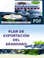 Arandanos Exportacion Final