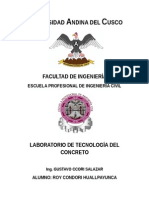 Trabajo de Laboratorio Nr 5 de tecnologia de concreto 