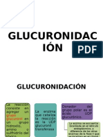 Expo Glucuronidación1.0
