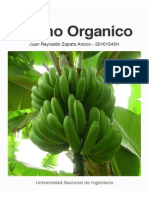 Banano Organico Piura