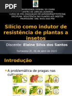Silício Como Indutor de Resistência de Plantas a Insetos