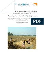 Value chain of wheat n rice in U.P..pdf