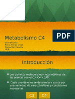 Metabolismo c4