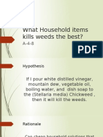 What Household Items Kills Weeds The Best?