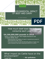 The Environmental Impact of Eating Beef