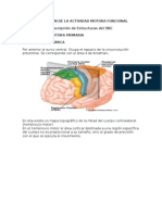 Primer Material Complmentario Uss 2015