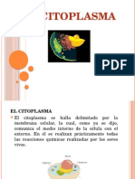 El citoplasma: componente fundamental de la célula