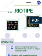 Kariotipe r