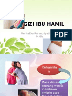 Gizi Bumil