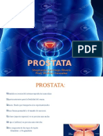 Presentacion Prostata Mia
