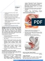 Prolaps Uteri