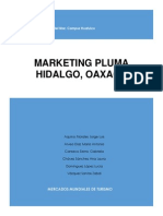 2do Avance Plan de Marketing Pluma Hidalgo