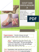 Gout Dan Hiperurisemia