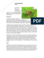 The Mediterranean Fruit Fly: Ceratitis Capitata (Wiedemann)