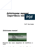 085840_Schistosoma mansoni