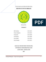 Download ERUPSI GUNUNG BERAPIdoc by Zerry Farianda SN292772314 doc pdf