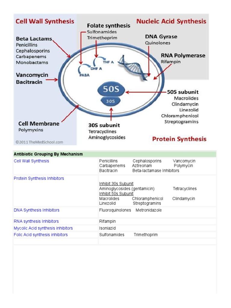 Antibiotic Classification by Mechanism | PDF | Antimicrobial Resistance ...