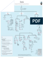 Components of Blood ChartAnemia Flowchart