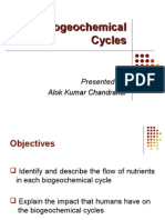 Biogeochemical Cycles Explained