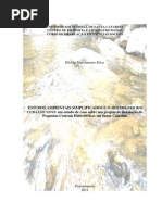 Estudos Ambientais Simplificados e o Movimento Rio Cubatão Vivo (SC)