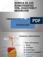 metabolismo nutrientes 2015