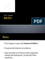 Presentacion Resumne Bazo