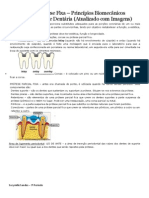 Apostila Completa Primeira Af Protese Fixa Suzymillesandesresumosdosegunda (1)