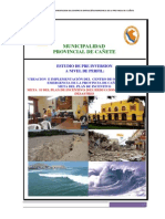 Pip de Coe Cañete PDF